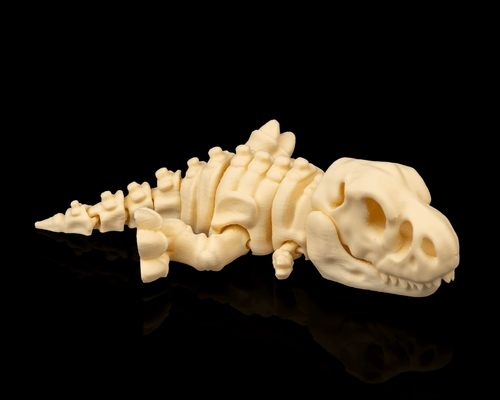 Articulated T-Rex Skeleton Model – 20 cm
