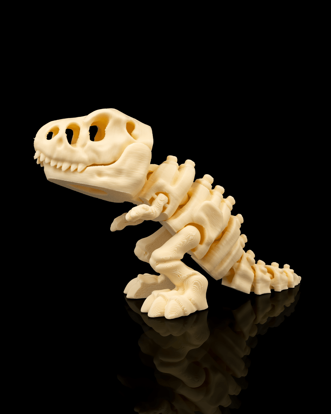 T-Rex Skeleton 20cm Articulated