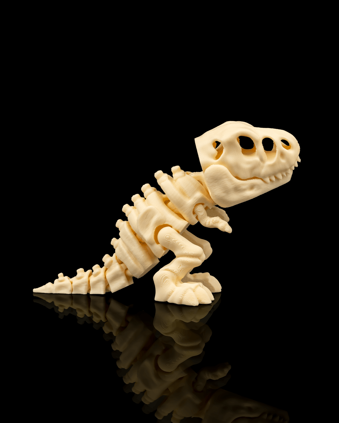 T-Rex Skeleton 20cm Articulated